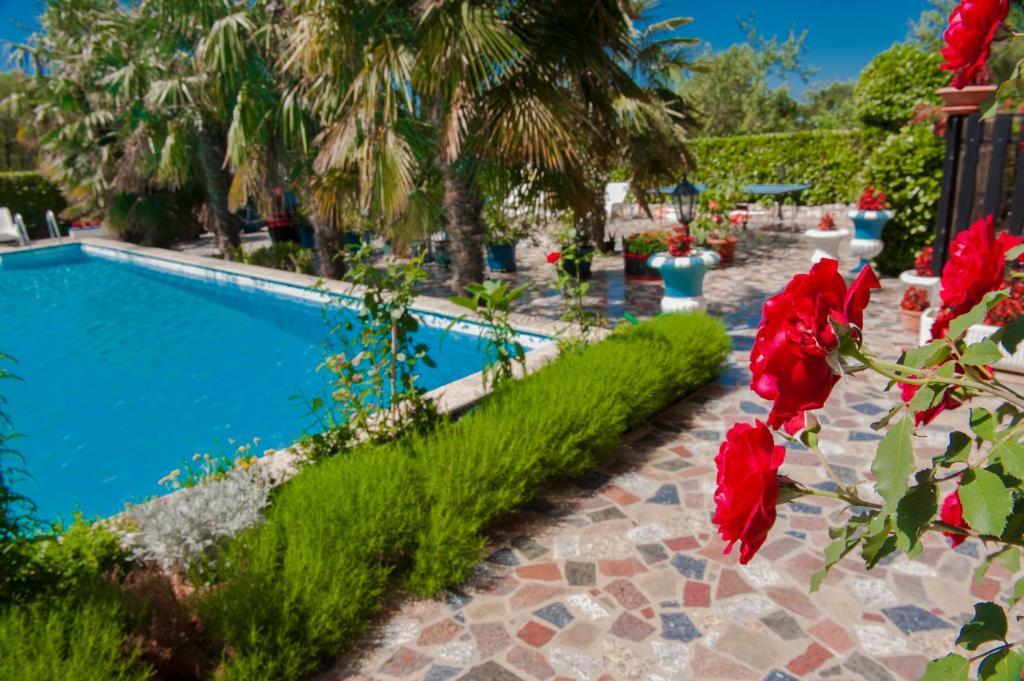 Apartments Paradis Rovinj Exterior photo